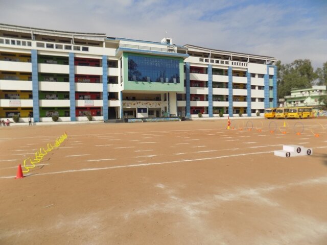 Activity Gallery